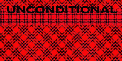 D/Luca Plaid Unconditional - Fine Wool Silk