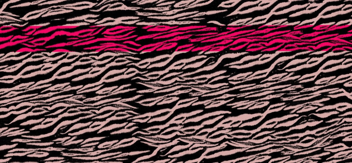 D/Luca Tiger - Shades of Charcoal & Rose - Fine Cashmere Scarf